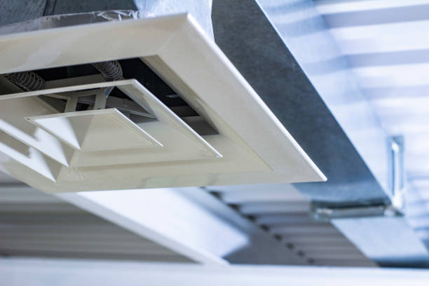 Best Air Duct Sanitizing Services  in Pioneer Village, KY